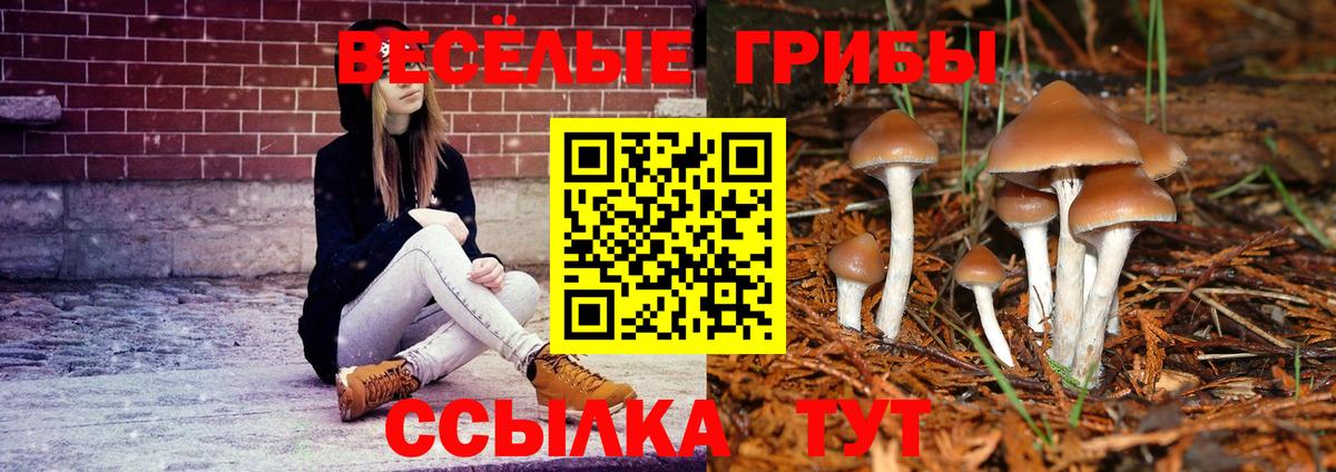 Омск  Псилоцибиновые грибы прущие грибы  Галлюциногенные грибы мухоморы  как найти наркотики  Вход с VPN 